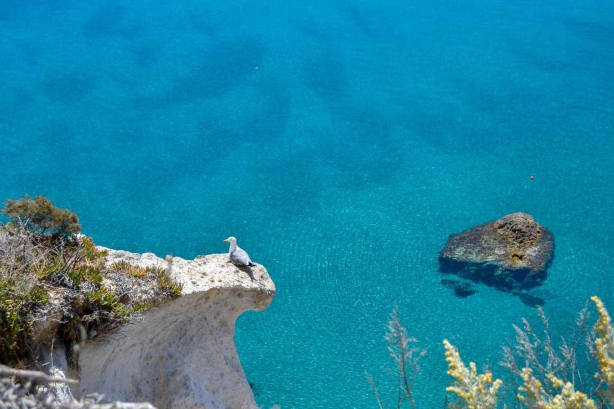 Maridea - Cave Apartments Ponza Zewnętrze zdjęcie